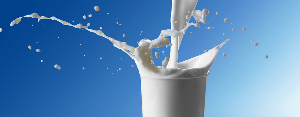 Dairy